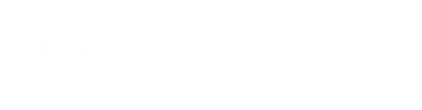 The Soft Boys