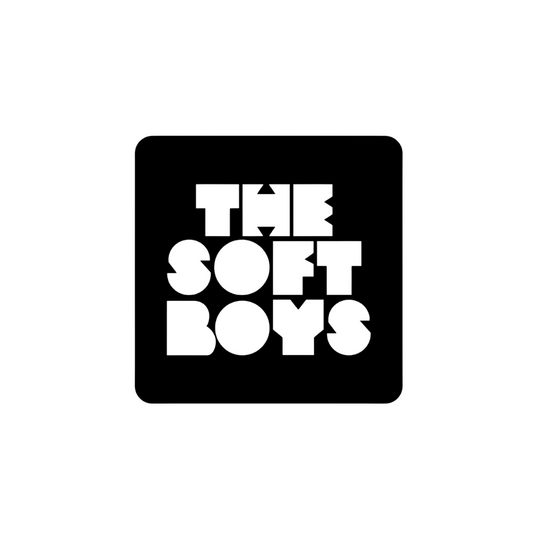 THE SOFT BOYS MAGNET